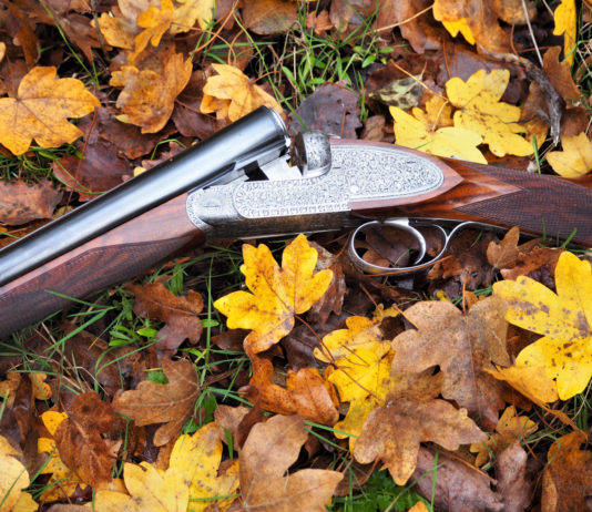 Doppietta Cosmi: il test doppietta cosmi tra le foglie autunnali