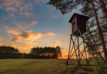 Emergenza sanitaria e caccia: una via d’uscita Emergenza sanitaria e caccia: altana da caccia all'alba