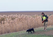 In aula la legge di riforma della caccia in Lombardia: ecco gli emendamenti In aula la legge di riforma della caccia in Lombardia ecco gli emendamenti