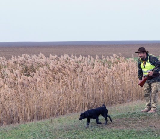 In aula la legge di riforma della caccia in Lombardia: ecco gli emendamenti In aula la legge di riforma della caccia in Lombardia ecco gli emendamenti