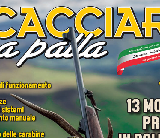 In edicola lo Speciale Bolt Action: per chi cerca una carabina bolt action In edicola lo Speciale Bolt Action per chi cerca una carabina bolt action