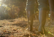 Natura giuridica degli Atc: il Consiglio di Stato fa chiarezza Natura giuridica degli Atc