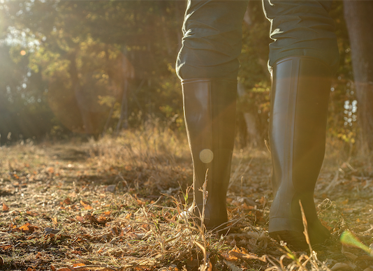Natura giuridica degli Atc: il Consiglio di Stato fa chiarezza Natura giuridica degli Atc