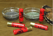 Ricarica calibro 28 da beccacce: le prove in placca Ricarica calibro 28 da beccacce