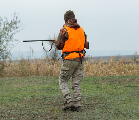 Slitta consegna del tesserino venatorio in Campania Slitta consegna tesserino venatorio in Campania: cacciatore con gilet alta visibilità e fucile in mano