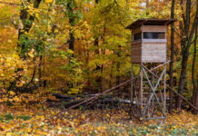 Tassa di concessione per porto d’armi prorogato: Cct chiede chiarimenti Tassa di concessione per porto d’armi: altana da caccia in ambiente autunnale