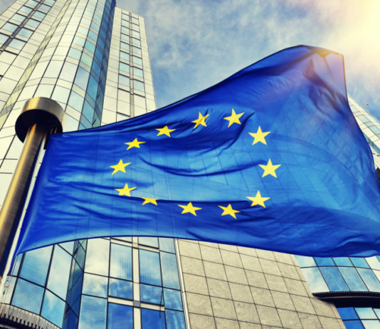 Uccisione, cattura e commercio illegale di uccelli: archiviata procedura di preinfrazione Uccisione, cattura e commercio illegale di uccelli: bandiera dell'Unione europea davanti alla sede di Bruxelles del parlamento europeo