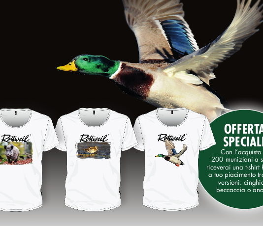 Acquistare munizioni Ruag Rottweil porta un regalo: la campagna Rottweil 2020 Acquistare munizioni Ruag Rottweil porta un regalo la campagna Rottweil 2020