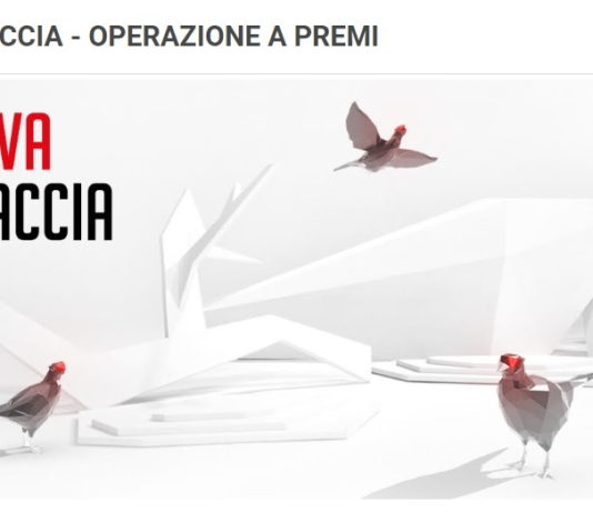 Acquistare un fucile Benelli porta dritti a cacciare in riserva: l’iniziativa a premi Acquistare un fucile Benelli porta dritti a cacciare in riserva, l’iniziativa a premi