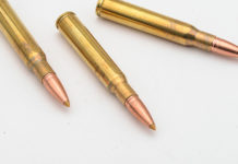 Mrr Bullets Green Hunting: il test delle nuove palle atossiche