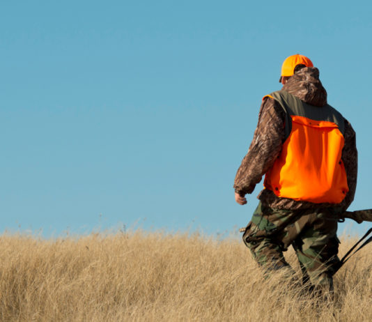 Associazioni venatorie toscane incontrano Remaschi: non solo braccata Associazioni venatorie toscane incontrano Remaschi non solo braccata