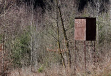 Biodiversità 2020-2030: la conferenza al parlamento europeo Biodiversità 2020-2030: altana da caccia nella foresta