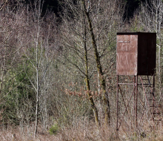 Biodiversità 2020-2030: la conferenza al parlamento europeo Biodiversità 2020-2030: altana da caccia nella foresta