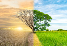 Biodiversità a rischio: due ministri al tavolo di Ispra Biodiversità a rischio: albero metà secco e metà rigoglioso, rappresenta la crisi ambientale