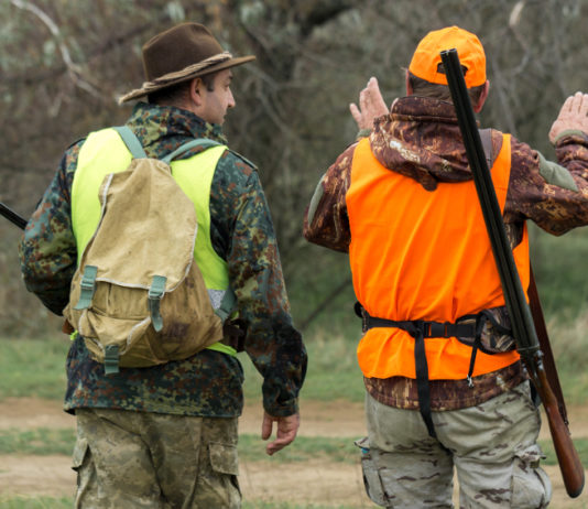 Caccia in Toscana, la Cct: “Necessario intervenire ancora, prima che inizi la stagione” caccia in toscana: due cacciatori in alta visibilità, di spalle