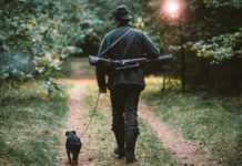 Cacciare in un’altra regione diventa più facile: ecco i primi accordi cacciare in un'altra regione: cacciatore di spalle con fucile a tracolla, cane al guinzaglio alla sua sinistra
