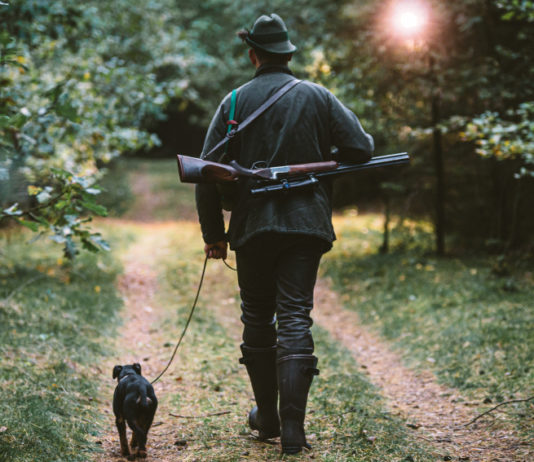 Cacciare in un’altra regione diventa più facile: ecco i primi accordi cacciare in un'altra regione: cacciatore di spalle con fucile a tracolla, cane al guinzaglio alla sua sinistra