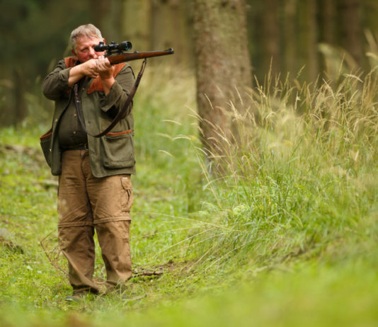 Calendario venatorio dell’Umbria, Federcaccia: “Fare presto” calendario venatorio dell'Umbria: cacciatore con carabina prende la mira
