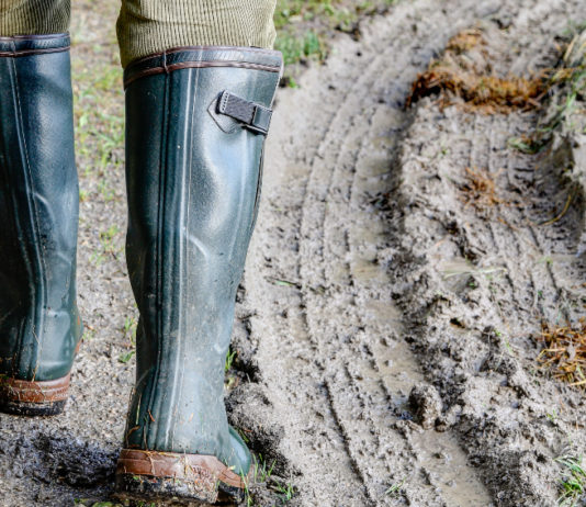 Ferita in un incidente di caccia? Porto d’armi a rischio incidente di caccia: stivali di cacciatore che cammina su terreno fangoso