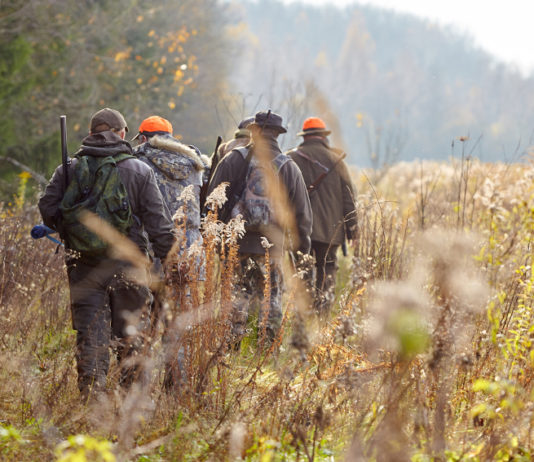 Incidenti di caccia e abbandono delle poste: la sentenza della Cassazione incidenti di caccia: cacciatori in fila verso le poste
