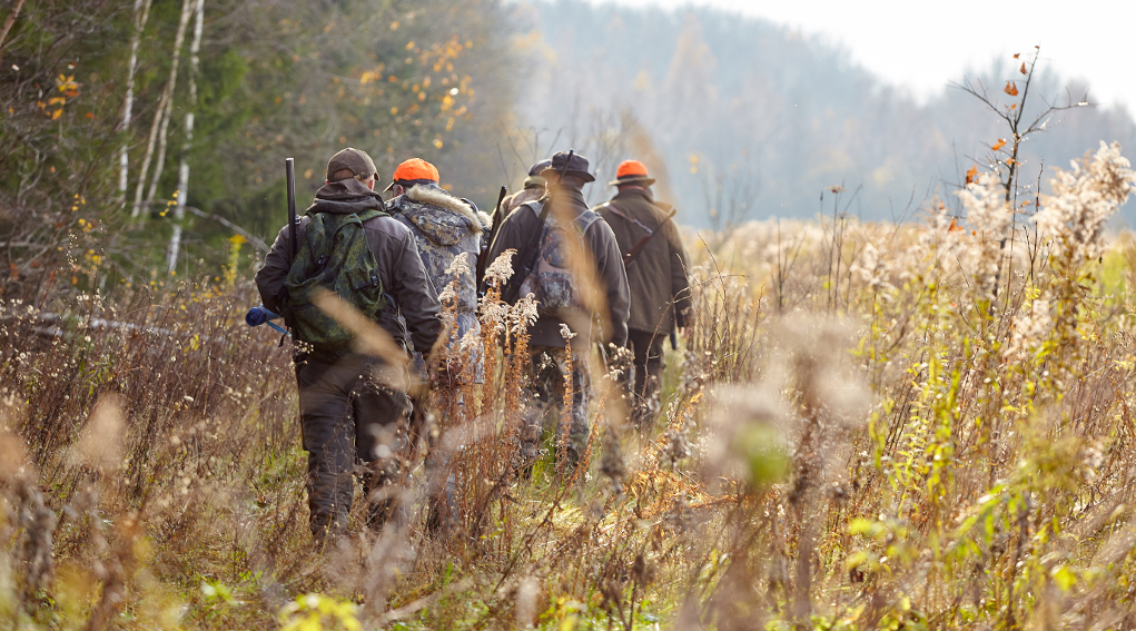 Incidenti di caccia e abbandono delle poste la sentenza della Cassazione incidenti di caccia: cacciatori in fila verso le poste