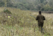 L’impatto economico della pandemia sul mondo della caccia: inchiesta L’impatto economico della pandemia sul mondo della caccia inchiesta