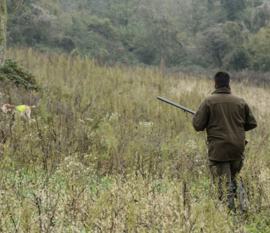 L’impatto economico della pandemia sul mondo della caccia: inchiesta L’impatto economico della pandemia sul mondo della caccia inchiesta