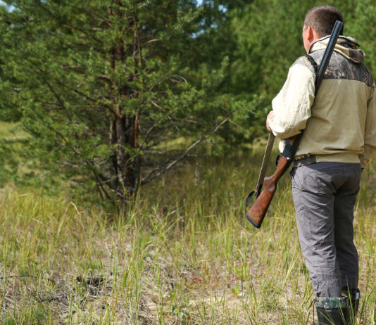 Riprendono gli esami di abilitazione alla caccia in Toscana esami di abilitazione alla caccia in Toscana: cacciatore di spalle con fucile in spalla