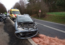 Risarcimento danni da incidenti stradali con la selvaggina, la sentenza della Cassazione sulle responsabilità Risarcimento danni da incidenti stradali: incidente con cinghiale