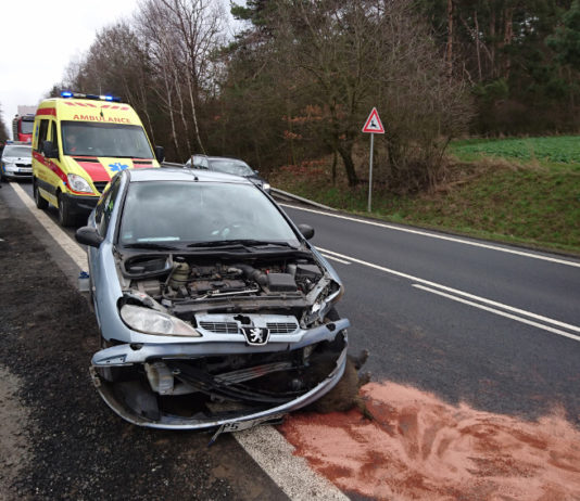 Risarcimento danni da incidenti stradali con la selvaggina, la sentenza della Cassazione sulle responsabilità Risarcimento danni da incidenti stradali: incidente con cinghiale