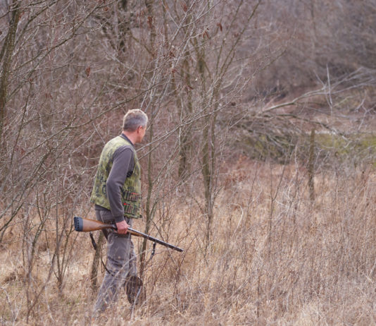 Ritiro sì o ritiro no per rinnovare il porto d’armi non ancora scaduto? Risponde il Viminale rinnovare il porto d'armi non ancora scaduto: cacciatore nel bosco