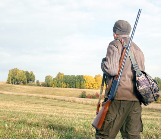 Specie cacciabili in Piemonte, mezza marcia indietro specie cacciabili in piemonte: cacciatore di spalle con fucile a tracolla