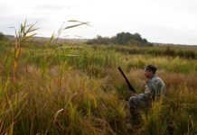 Stati generali dell’economia, associazioni unite: “Ora confronto col governo” stati generali dell'economia: cacciatore seduto in un prato