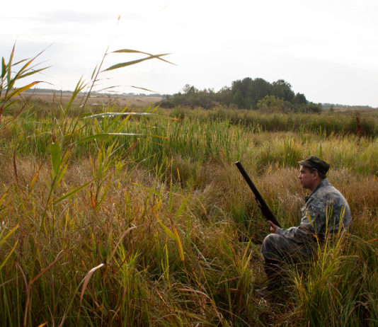 Stati generali dell’economia, associazioni unite: “Ora confronto col governo” stati generali dell'economia: cacciatore seduto in un prato