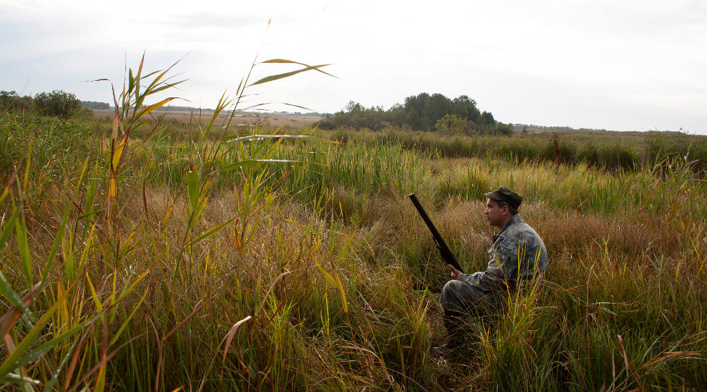 Stati generali dell’economia, associazioni unite “Ora confronto col governo” stati generali dell'economia: cacciatore seduto in un prato