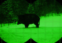 Termocamere e visori notturni, accordo Blaser-Liemke termocamere e visori notturni: cinghiale visto attraverso un binocolo termico