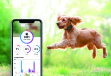 Tractive Gps Dog: cani sempre e ovunque sotto controllo Tractive Gps