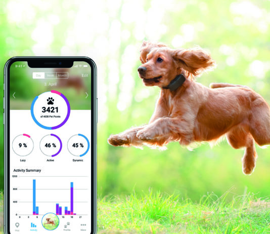 Tractive Gps Dog: cani sempre e ovunque sotto controllo Tractive Gps
