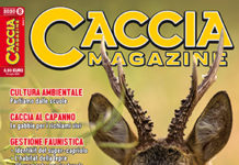 Caccia Magazine n. 8 agosto 2020