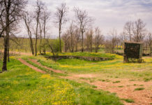 Caccia da appostamento, governo impugna legge Liguria caccia da appostamento