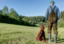 Caccia e agricoltura, accordo Federcaccia-Coldiretti caccia e agricoltura: agricoltore di spalle guarda natura, alla sua sinistra setter irlandese