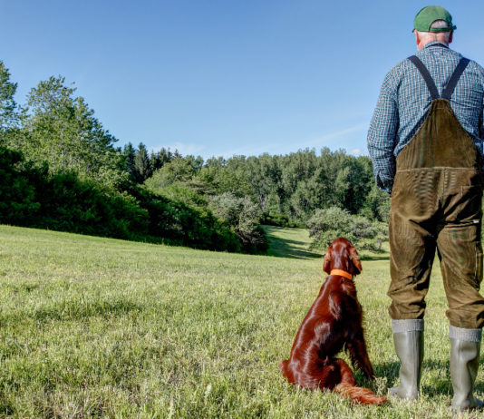 Caccia e agricoltura, accordo Federcaccia-Coldiretti caccia e agricoltura: agricoltore di spalle guarda natura, alla sua sinistra setter irlandese