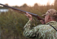 Calendario venatorio della Campania 2020/2021: all’insegna della prudenza Calendario venatorio della Campania 2020/2021: cacciarore di acquatici prende la mira