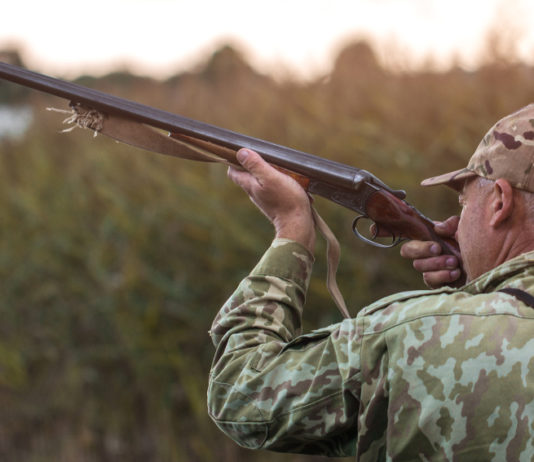 Calendario venatorio della Campania 2020/2021: all’insegna della prudenza Calendario venatorio della Campania 2020/2021: cacciarore di acquatici prende la mira