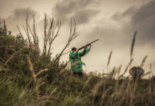 Caso Federcaccia Friuli Venezia Giulia: passi avanti verso la soluzione Federcaccia Friuli Venezia Giulia: cacciatore visto dal basso prende la mira con fucile imbracciato