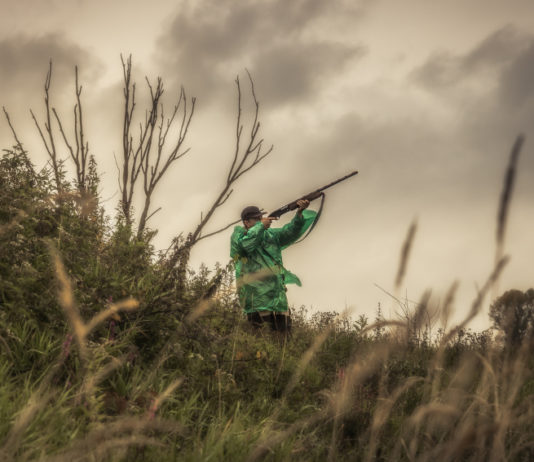Caso Federcaccia Friuli Venezia Giulia: passi avanti verso la soluzione Federcaccia Friuli Venezia Giulia: cacciatore visto dal basso prende la mira con fucile imbracciato