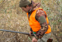 Divieto di caccia in fondo privato, la sentenza Divieto di caccia in fondo privato: cacciatore in alta visibilità con fucile in mano