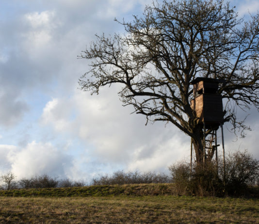Federazione dei cacciatori del Friuli Venezia Giulia, arriva la diffida di Federcaccia Federazione dei cacciatori del Friuli Venezia Giulia: altana su un albero