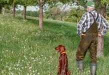 Numero dei cacciatori in Campania, diffusi i dati © Edgar G. Biehle / shutterstock