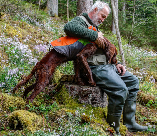 Nuova legge sulla caccia in Toscana, consiglio dice sì Nuova legge sulla caccia in Toscana: cacciatore seduto accarezza setter irlandese